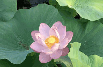 變頻恒壓供水水處理設(shè)備日常檢修指南